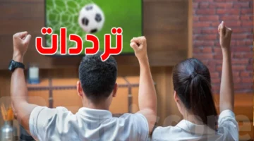 بث مجاني.. تردد القناة الجزائرية الناقلة لمباريات كأس أمم إفريقيا 2025 عبر نايل سات